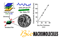 ACS Biomacromolecules Stimpson 2020