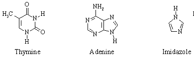 Thymine, Adenine, and Imidazole